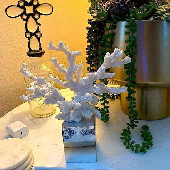 White branch coral on silver base. 12” x 10” - Picture 1 of 7